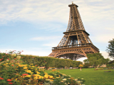 Paris France Eiffel Tower Picture