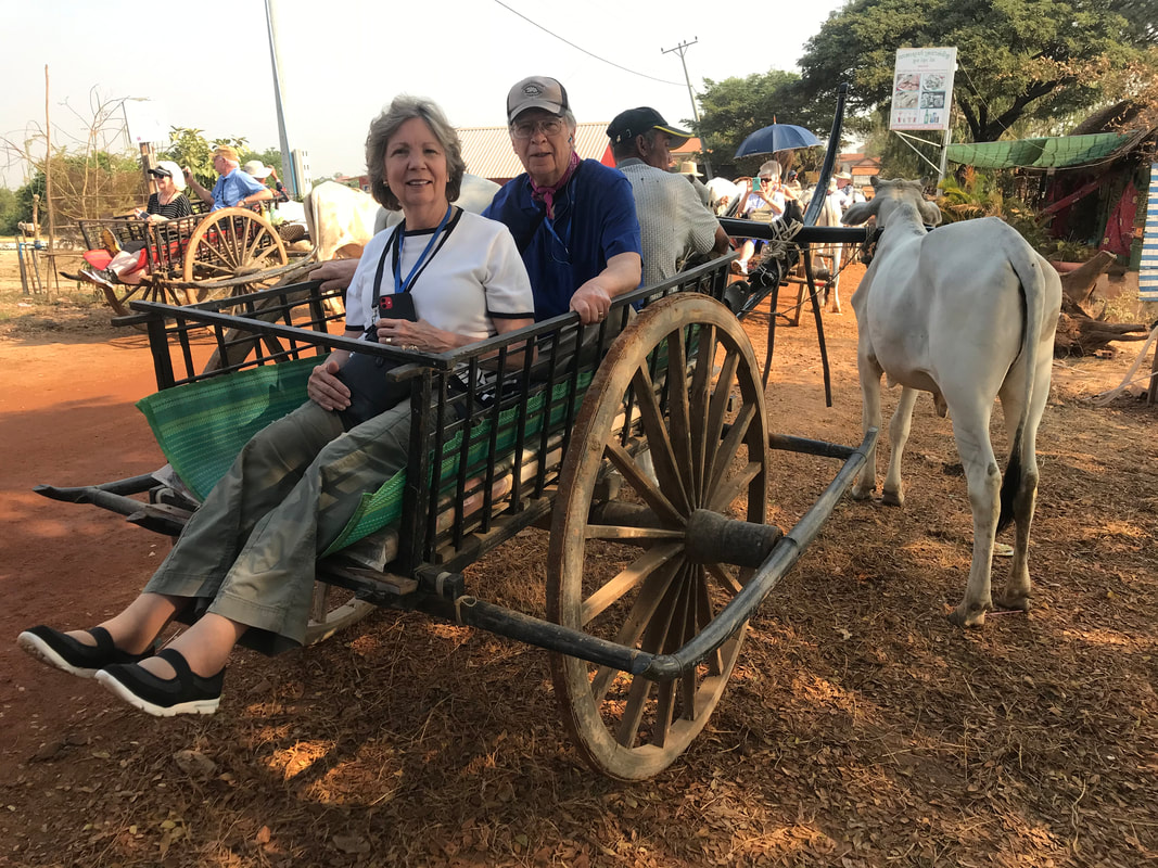 Oxcart excursion on the Mekong River