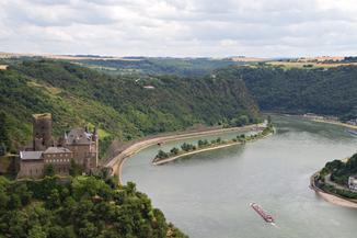 Castle along the Rhine River Picture