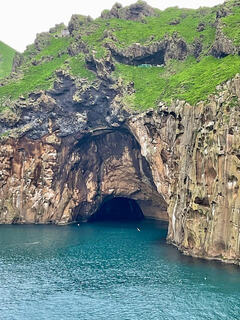 Caves and Cliffs in Iceland Picture