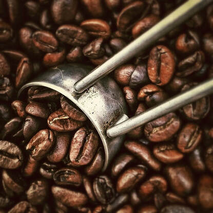 Coffee Beans  Picture