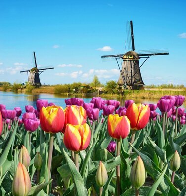 Emerald Waterways Netherlands in Bloom Picture