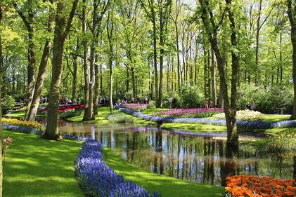 Keukenhof Gardens Netherlands Picture