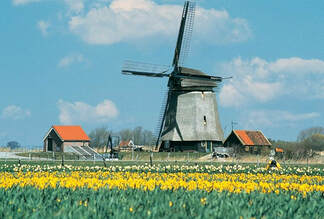 Tulip Time Netherlands Picture