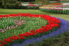 Netherlands Garden Picture